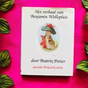 Het Verhaal Van Benjamin Wollepluis