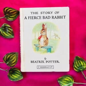 The Story of A Fierce Bad Rabbit