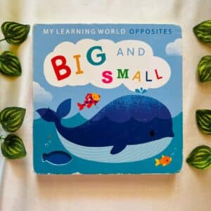 Big and Small: Board Book