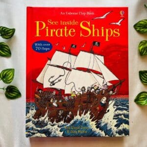 Usborne See Inside Pirate Ships: Board Book With Over 70 Flaps