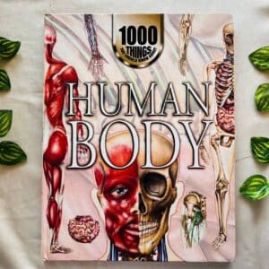 Human Body
