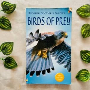 Usborne Spotter's Guides: Birds of Prey