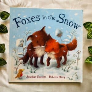 Foxes In The Snow: Picture Story Book