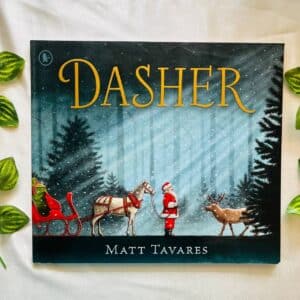 Dasher: Picture Story Book