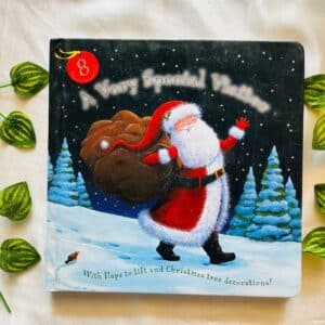 A Very Special Visitor: A Lift-the-Flap Board Book