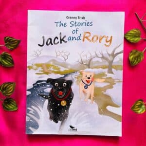 The Stories Of Jack And Rory
