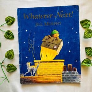 Whatever Next! Picture Story Book