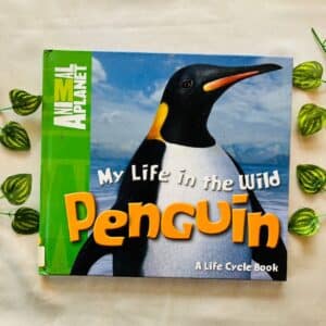 My Life In The Wild Penguin