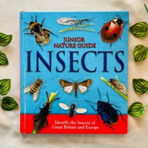 Junior Nature Guide Insects