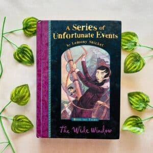 A Series Of Unfortunate Events: The Wild Window