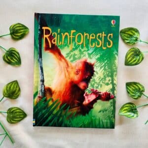 Rainforests