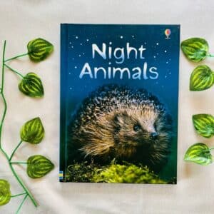 Night Animals