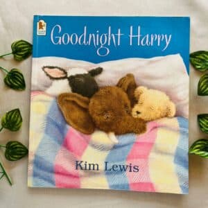 Goodnight Harry: Picture Story Book