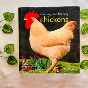 Choosing and Keeping Chickens