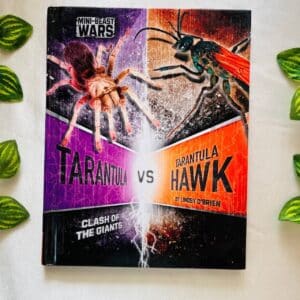 Tarantula Vs Tarantula Hawk