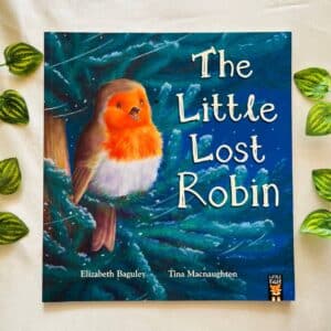 The Little Lost Robin: Picture Story Book
