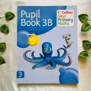 Pupil Book 3B