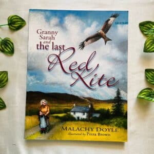 Red Kite: Picture Story Book
