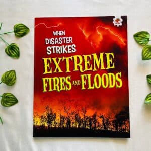 When Disaster Strikes Extreme Fires and Floods