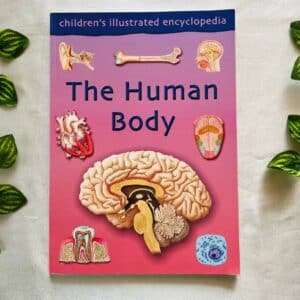 The Human Body