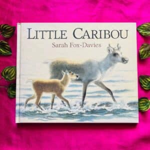 Little Caribou