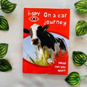 I-Spy On a Car Journey