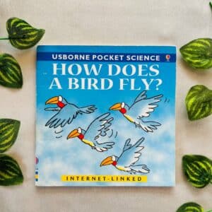 Usborne Pocket Science: How Does a Bird Fly?