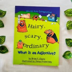 Hairy, Scary, Ordinary What is an Adjective?