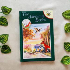 The Adventure Begins