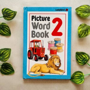 Picture Word Book 2