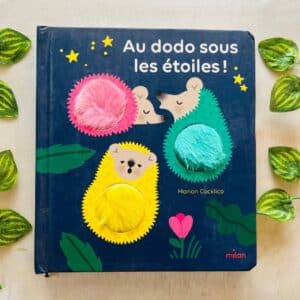 Au Dodo Sous Les Etoiles! Board Book (Foreign Language)