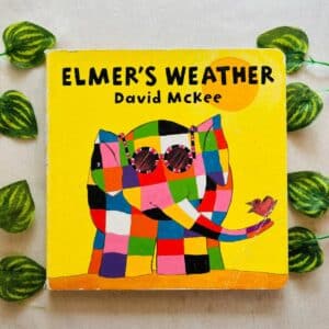 Elmer's Weather: Board Book