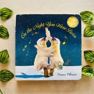 On the Night You Were Born: Board Book