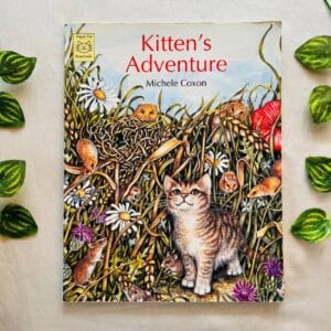 Kitten's Adventure: Picture Story Book