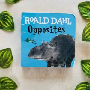 Opposites By Roald Dahl: Board Book