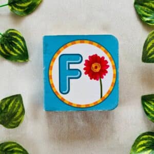 The Letter F: Board Book