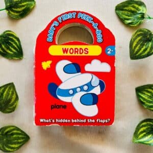 Baby's First Peek-a-Boo Words: Board Book