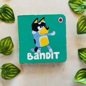 Bluey Bandit: Board Book