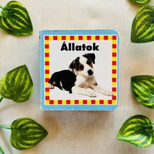 Allatok: Board Book (Foreign Language)