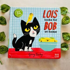 Lois Looks For Bob at Home: Lift the Flap Board Book
