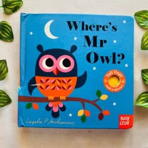 Where's Mr Owl? Board Book with Felt Flaps