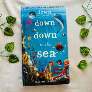 Down Down Down in the Sea: Board Book