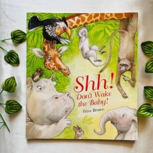 Shh! Don't Wake The Baby: Picture Story Book