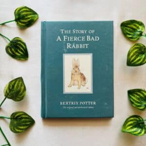 The Story Of A Fierce Bad Rabbit