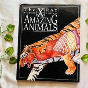 The X Ray Book Of Amazing Animals