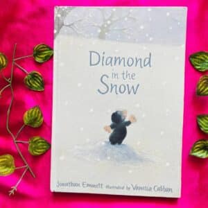 Diamond In The Snow