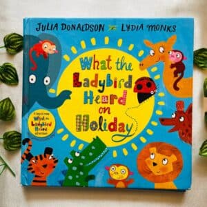 What The Ladybird Heard On Holiday By Julia Donaldson