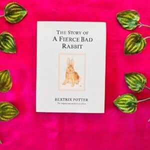 The Story Of A Fierce Bad Rabbit
