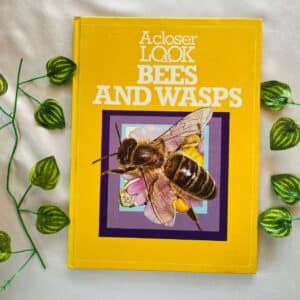 A Closer Look Bees And Wasps
