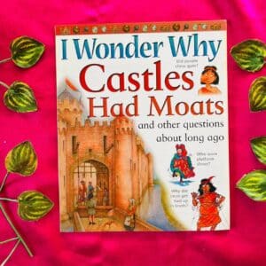 I Wonder Why Castles Had Moats